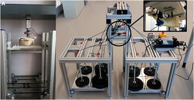 Development of a test bench for biomechanical simulation—a preliminary study of mandibular forces